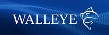 Walleye Capital
