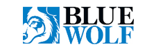 Blue Wolf Capital Partners, LLC
