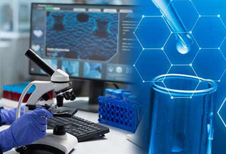 What Advantages does Investment Management Offer?